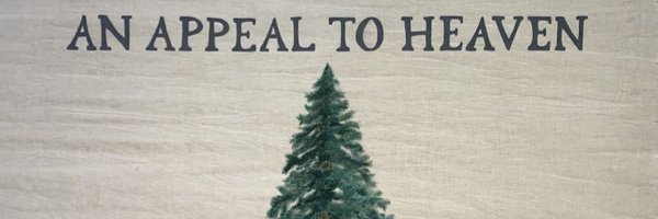 void_type Profile Banner