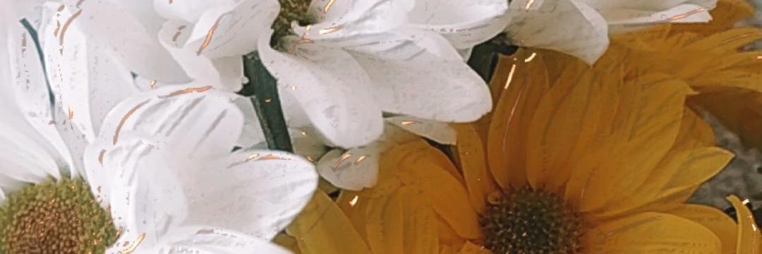 14Auryn's profile banner image