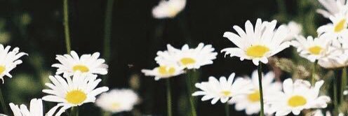 stffvvgc's profile banner image