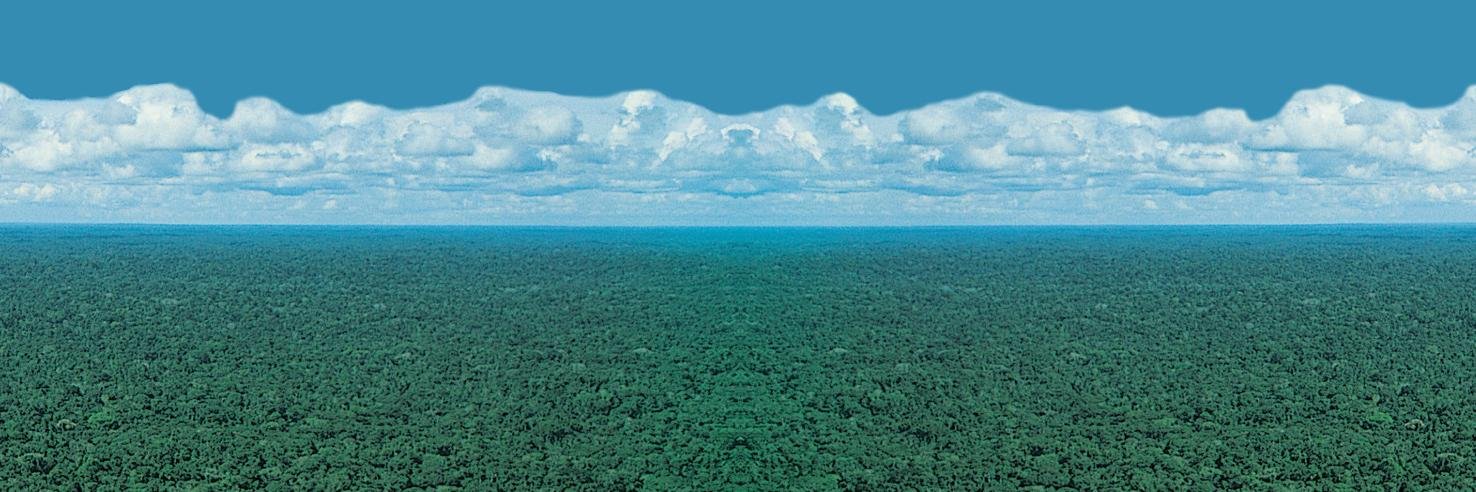 ingforestales's profile banner image