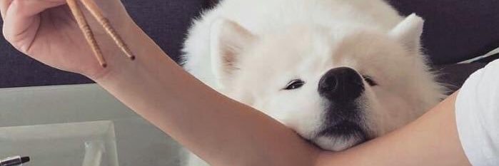betterjae banner