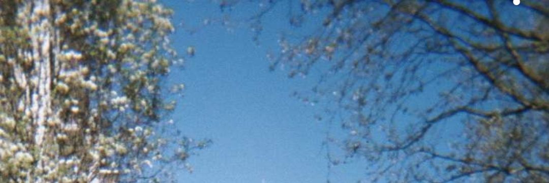 AlixDgn's profile banner image
