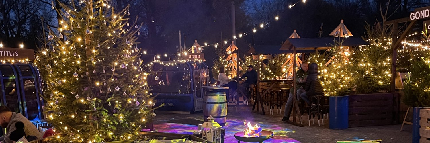 Dani Schmidlin banner