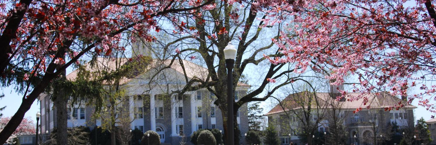 TheVillageJMU's profile banner image