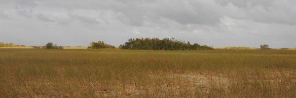 WMHMicEcolLab Profile Banner