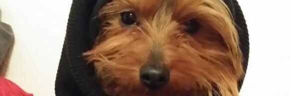 Malismidad's profile banner image