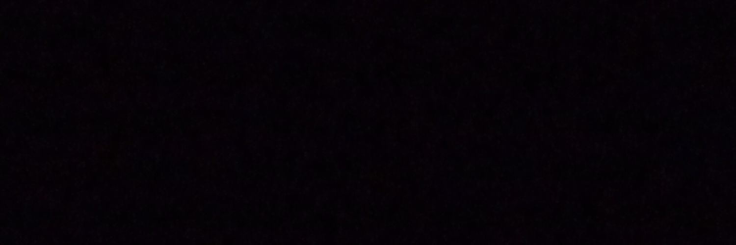 sangitastic's profile banner image