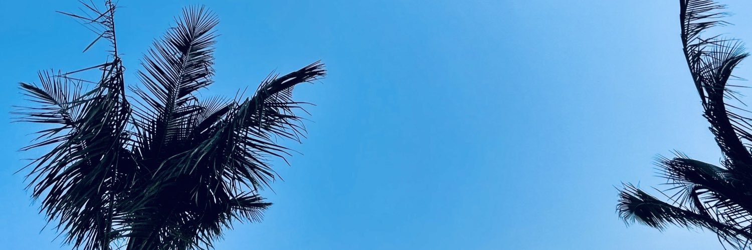 zy1229's profile banner image