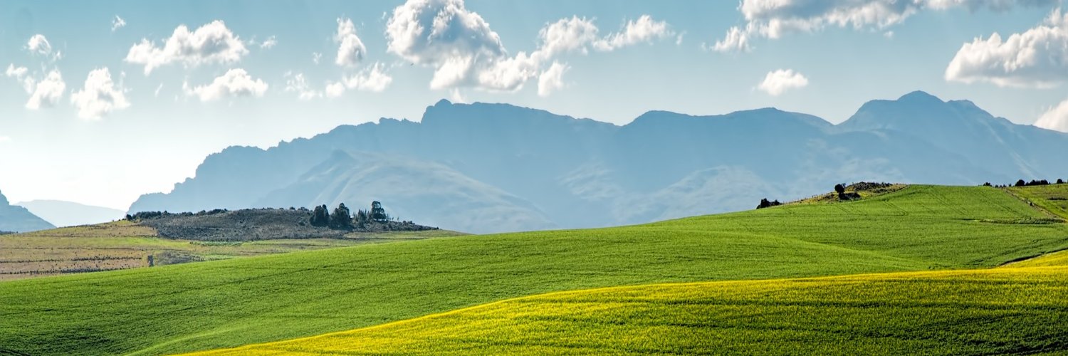 Amvest Capital banner