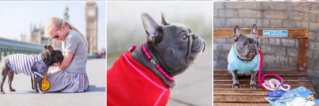 HugoTheFrenchB's profile banner image