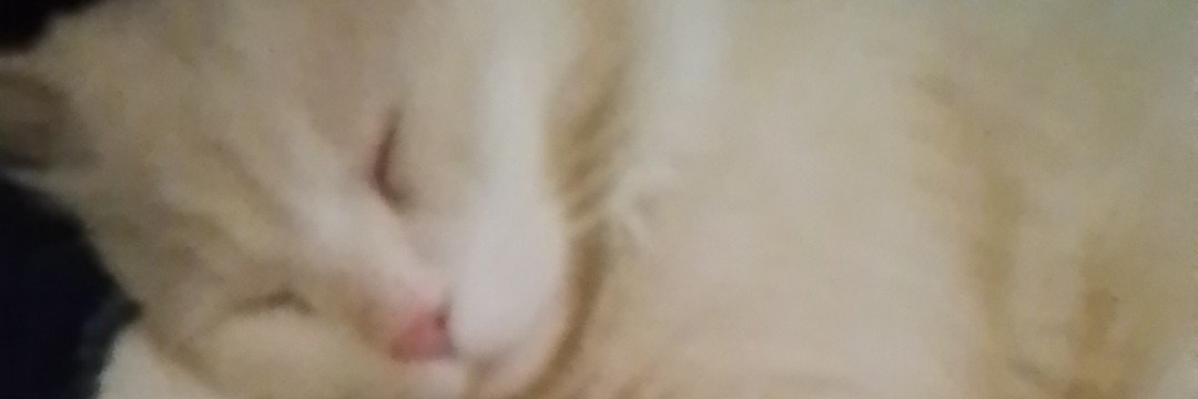 myrarious's profile banner image