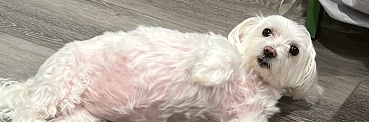 🇨🇷MARION🇨🇴 banner