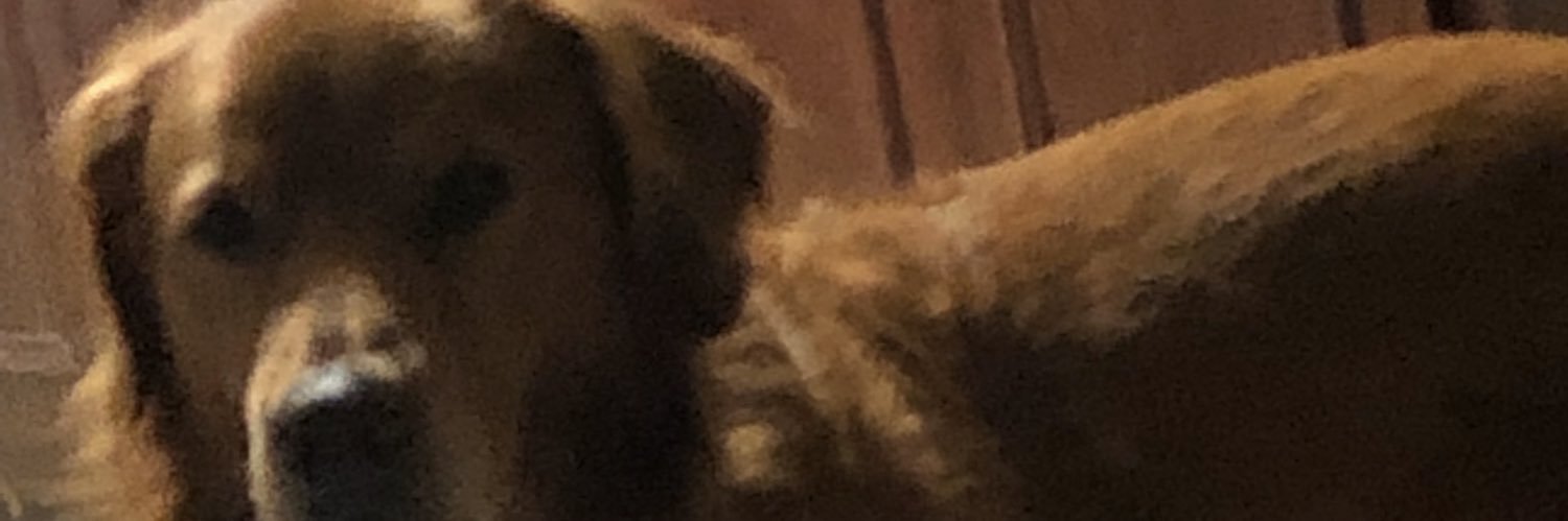JessicaStaley10's profile banner image