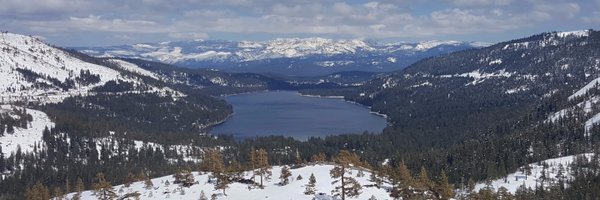 LegalDisruptor Profile Banner