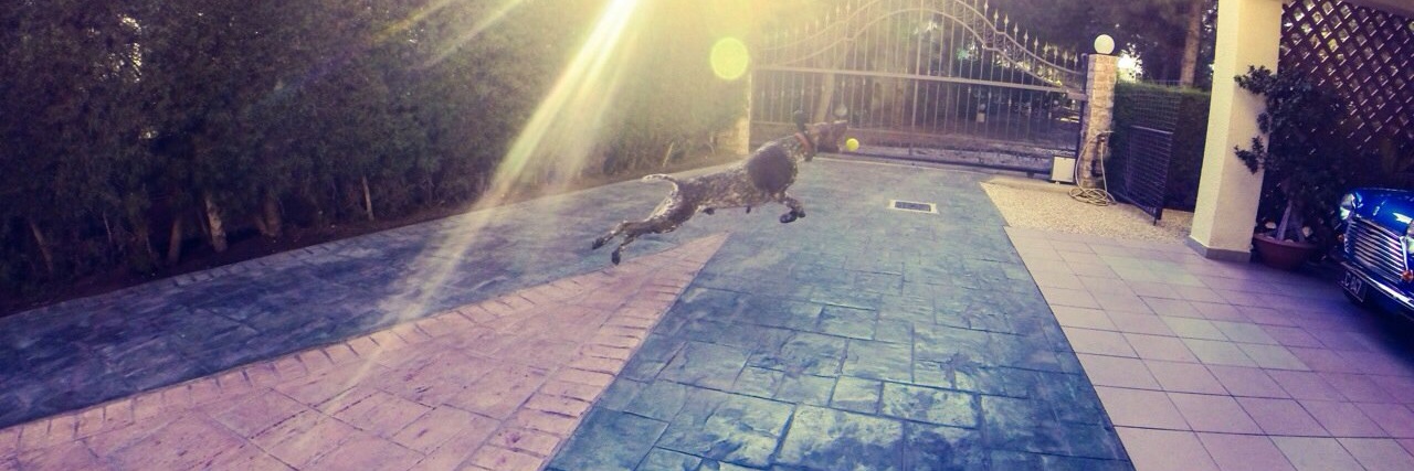 Demetris Constantinou banner