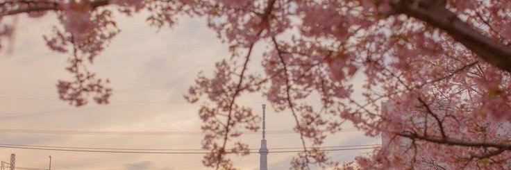 cixsse's profile banner image