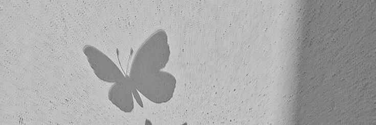 ✨🌸M E G A N🌸✨ banner