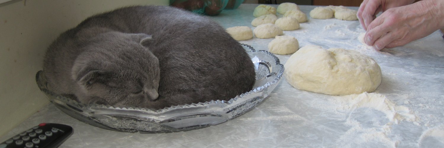 Наталья, Maxik #Omir #Zhalyn #Stranger banner