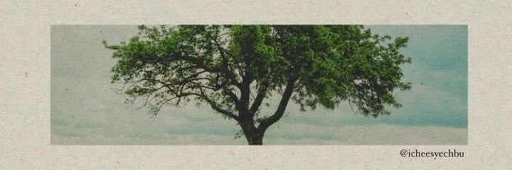 Feardaus_'s profile banner image