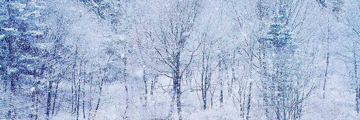 frozenKuneho's profile banner image