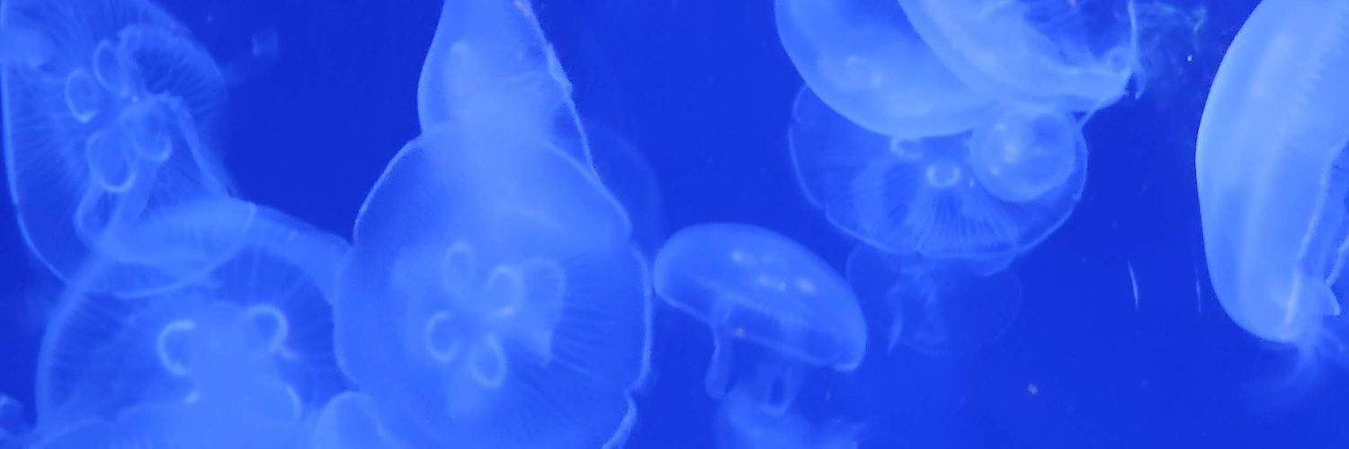 Anaëlle - Twitch banner