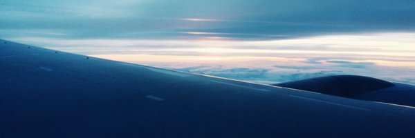 miniminilion Profile Banner