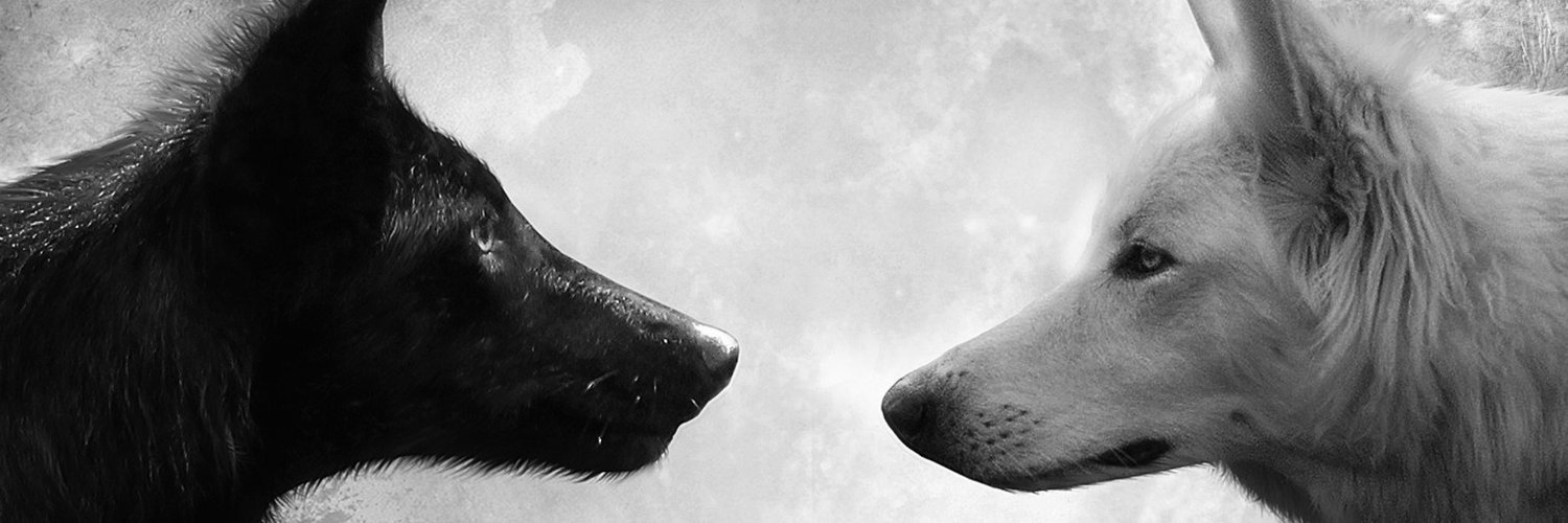 Dony_Ritter's profile banner image