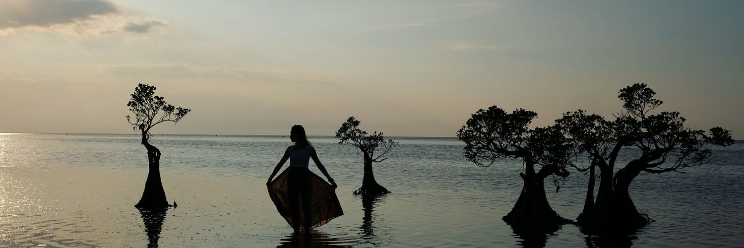 adindakiran's profile banner image