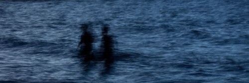lilysan252's profile banner image