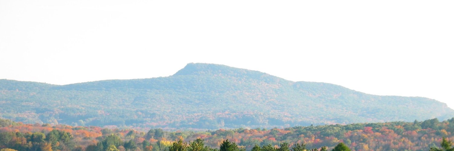 ValleyVax's profile banner image