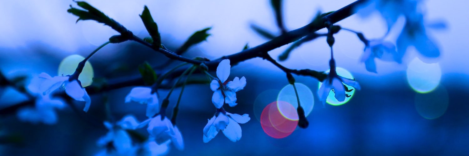 deegee8282's profile banner image