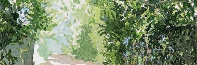anaitiss's profile banner image