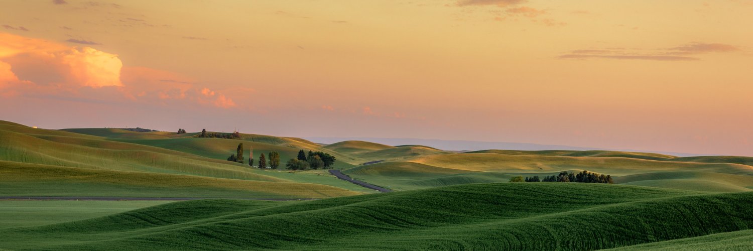 Sethtoshii's profile banner image