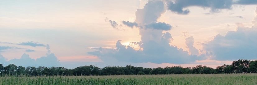 clarabell04's profile banner image