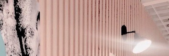 kim anette banner