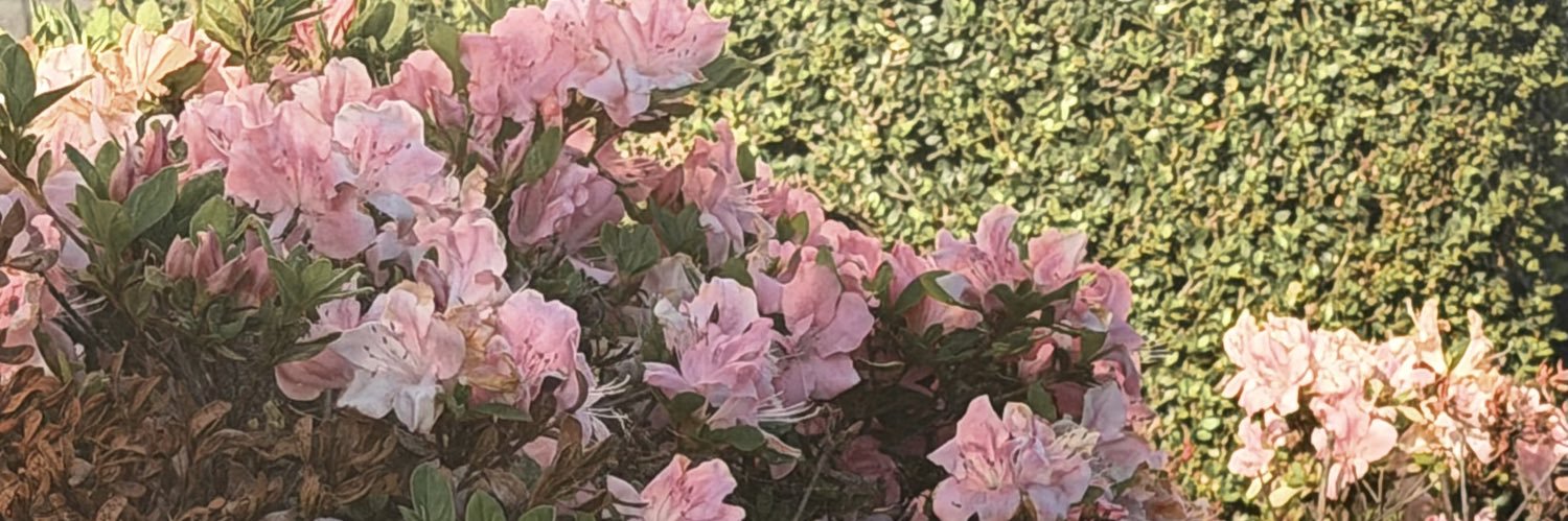 fitsurfancy's profile banner image