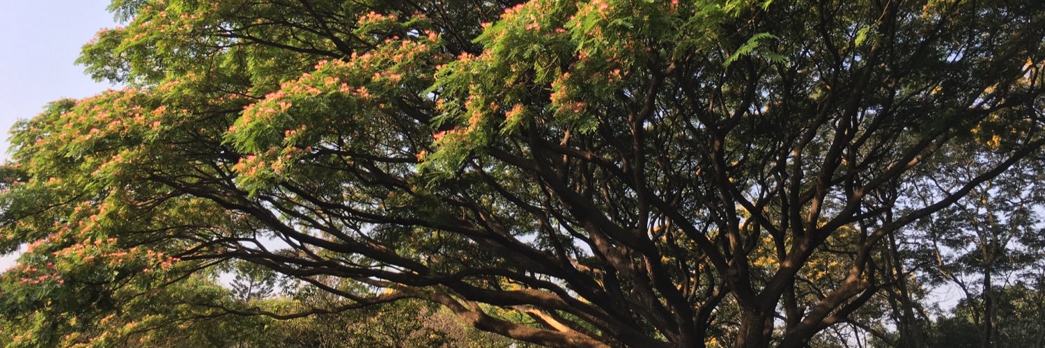 bheemapaka's profile banner image