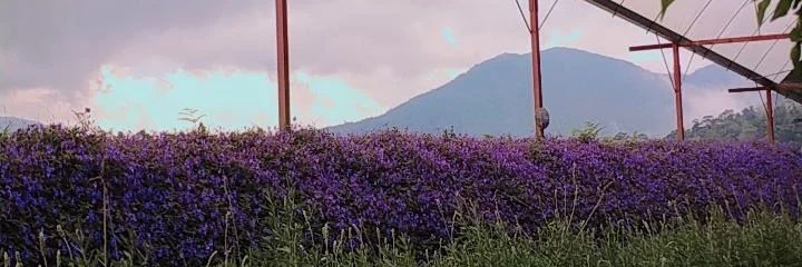 knmonixse's profile banner image