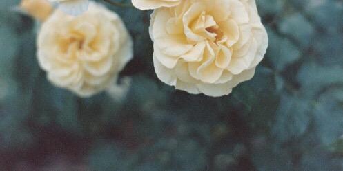moneeashley_'s profile banner image