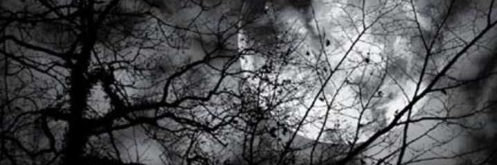 mtkn2010's profile banner image