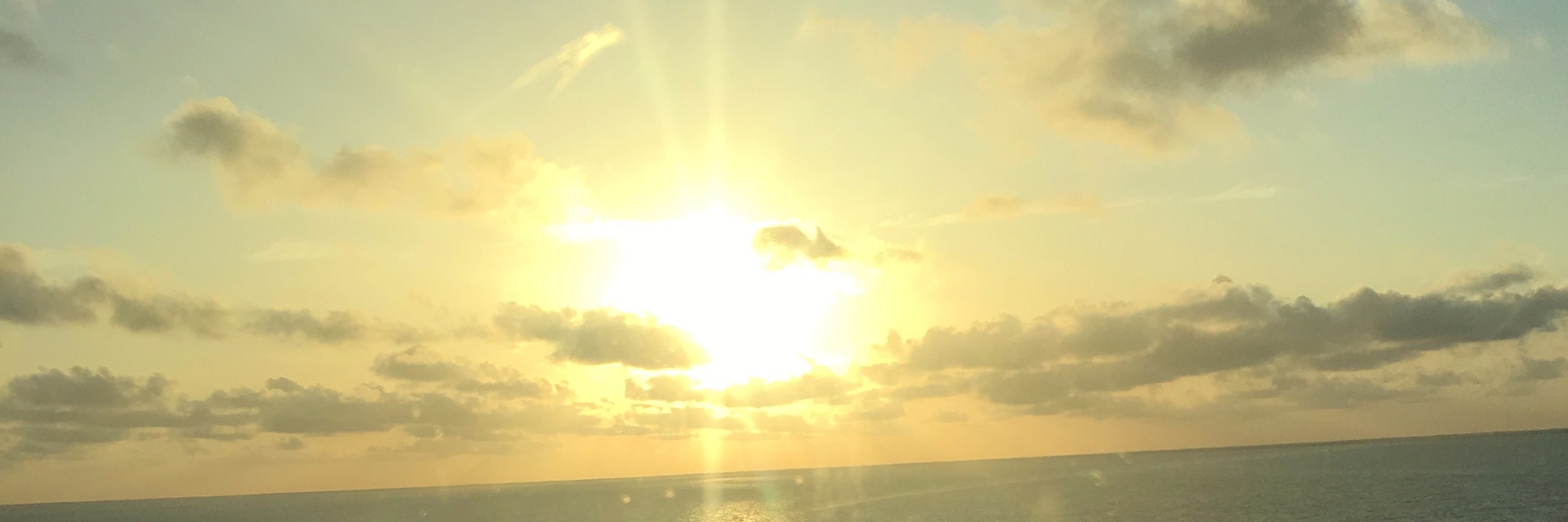 Mariana Rodriguez banner