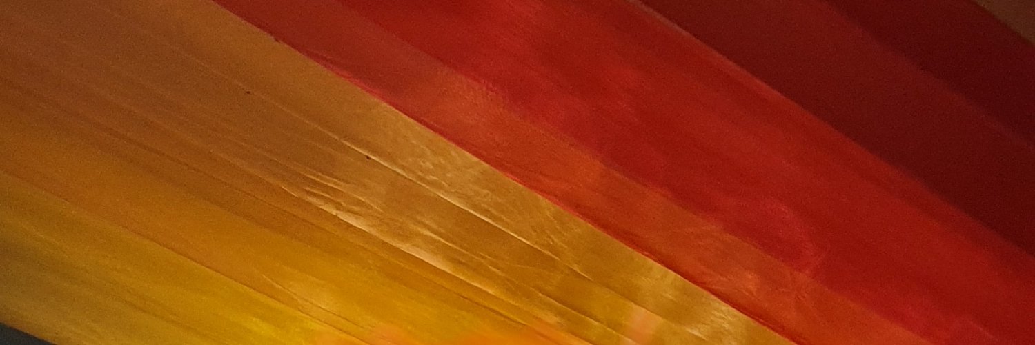 SDS88 (🇬🇧🏴󠁧󠁢󠁥󠁮󠁧󠁿🏳️‍🌈)'s banner