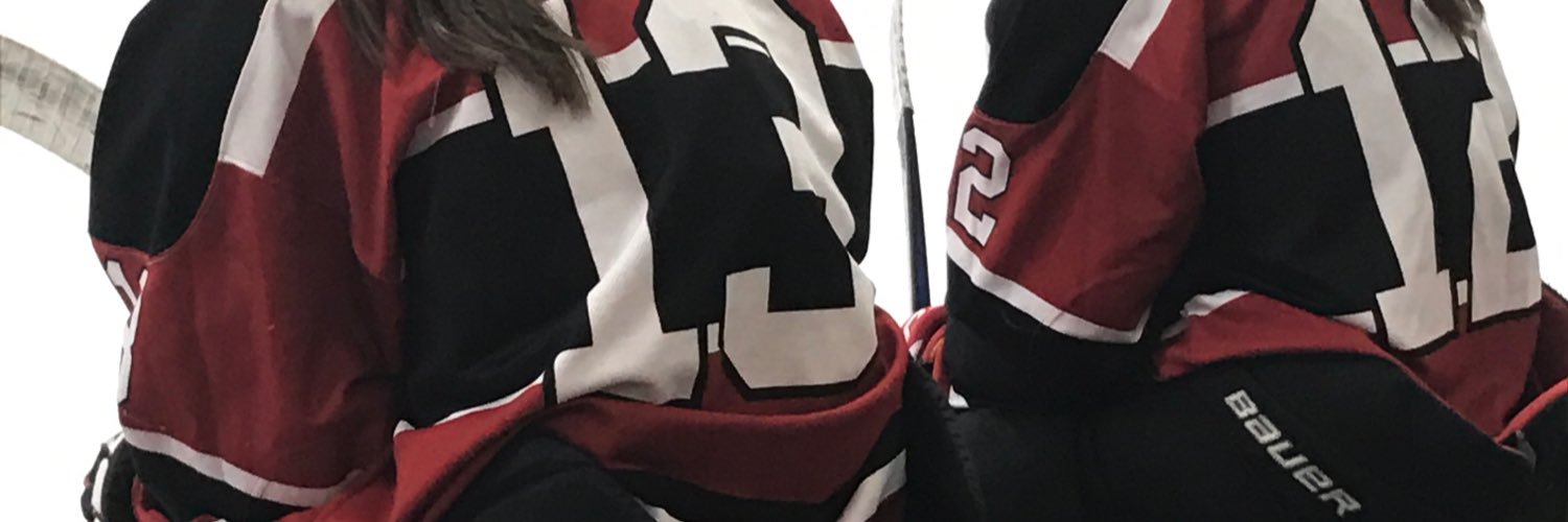 Bill Schepers jr. banner