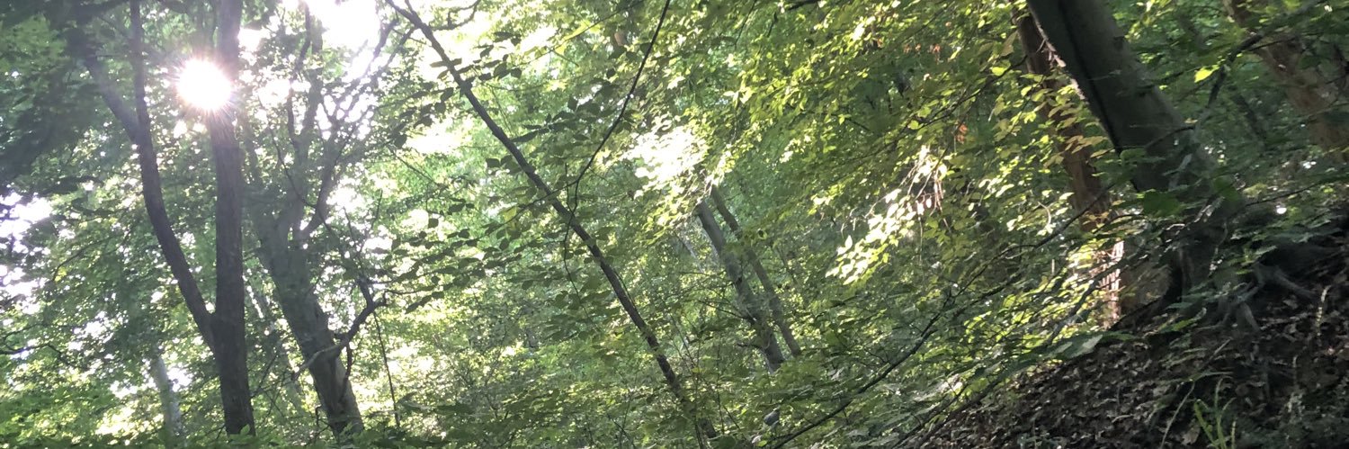 paxtonlee__'s profile banner image