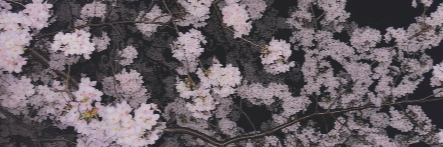 🌙 banner