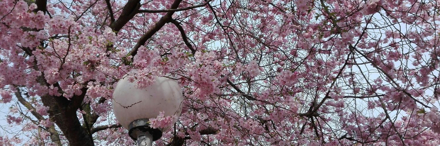 Yuki_Chan_94's profile banner image
