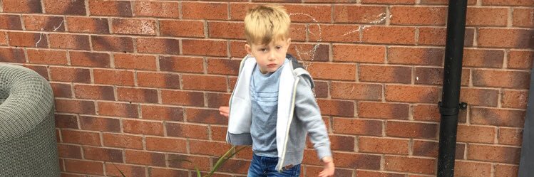 joshua nichol banner