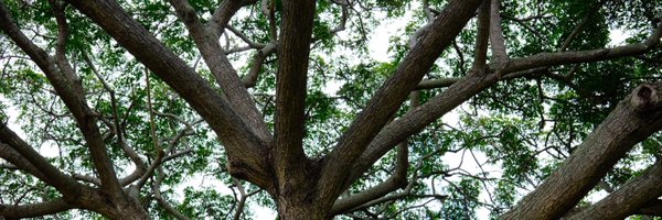 larissaplanner Profile Banner