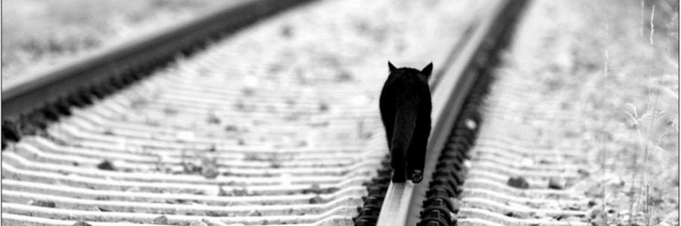 ディムロス banner