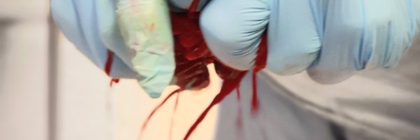 DPauperio Profile Banner